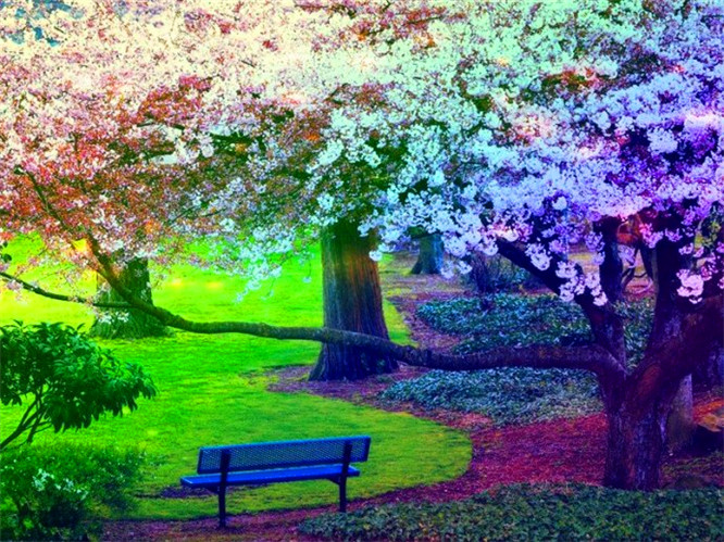 ky开元集团官网入口：票务 | 3月31日迎战石家庄永昌，主场球票今日开售