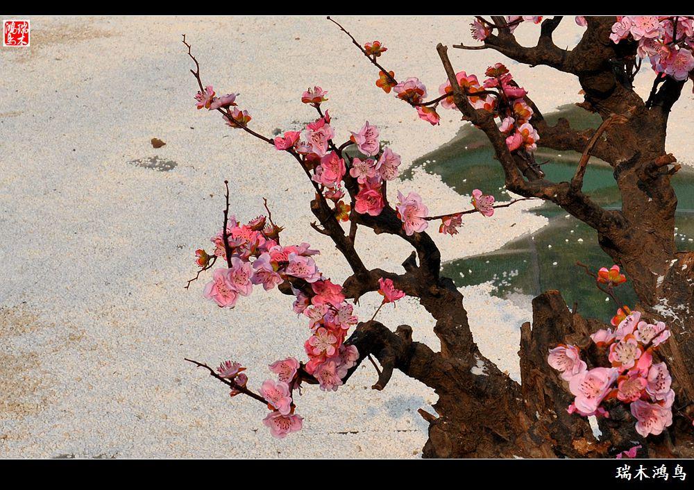 KY开元·(中国)集团