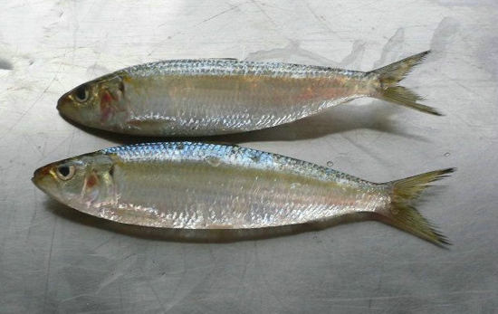 ky开元·(中国)集团官网