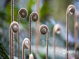 KY开元集团官网