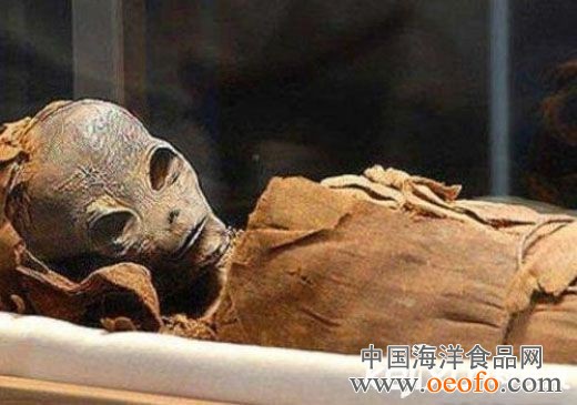 KY开元集团官网